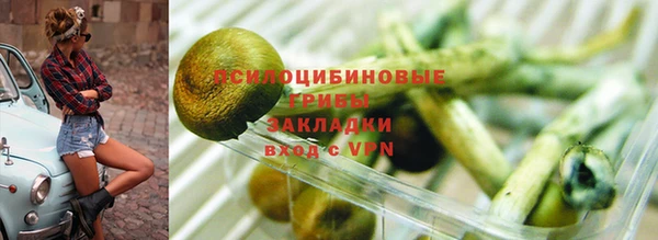 экстази Белая Холуница