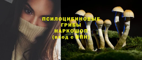 кокс Осташков