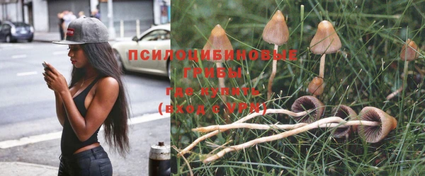 шишки Нягань